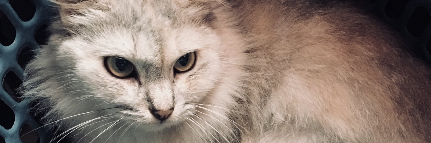 MRCRS04's profile banner image