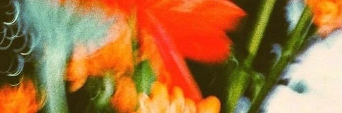 Fifi nim 🥰 banner