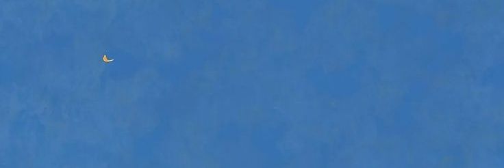 MaryLazy_'s profile banner image