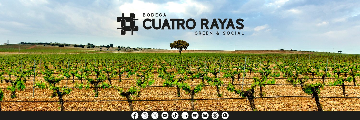 Bodega Cuatro Rayas banner
