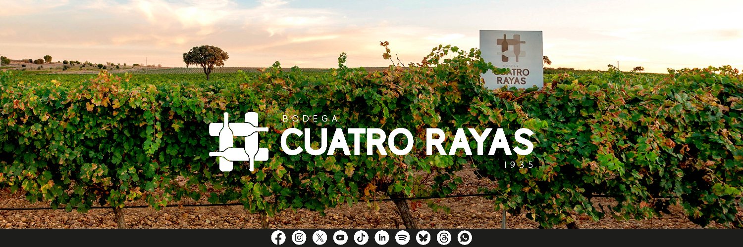 CuatroRayas's profile banner image