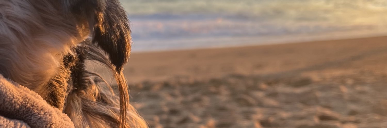 josefa banner