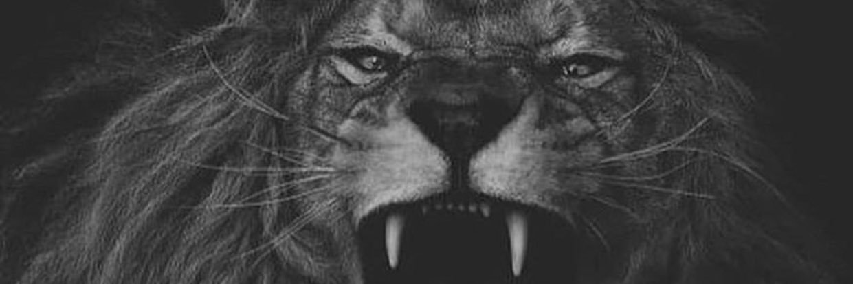 chayma_2000's profile banner image