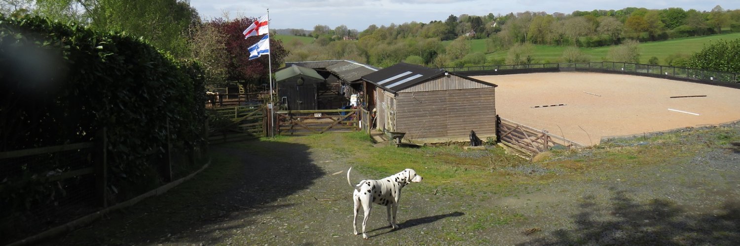 ⭐Tim Lockett ⭐𝕏 banner