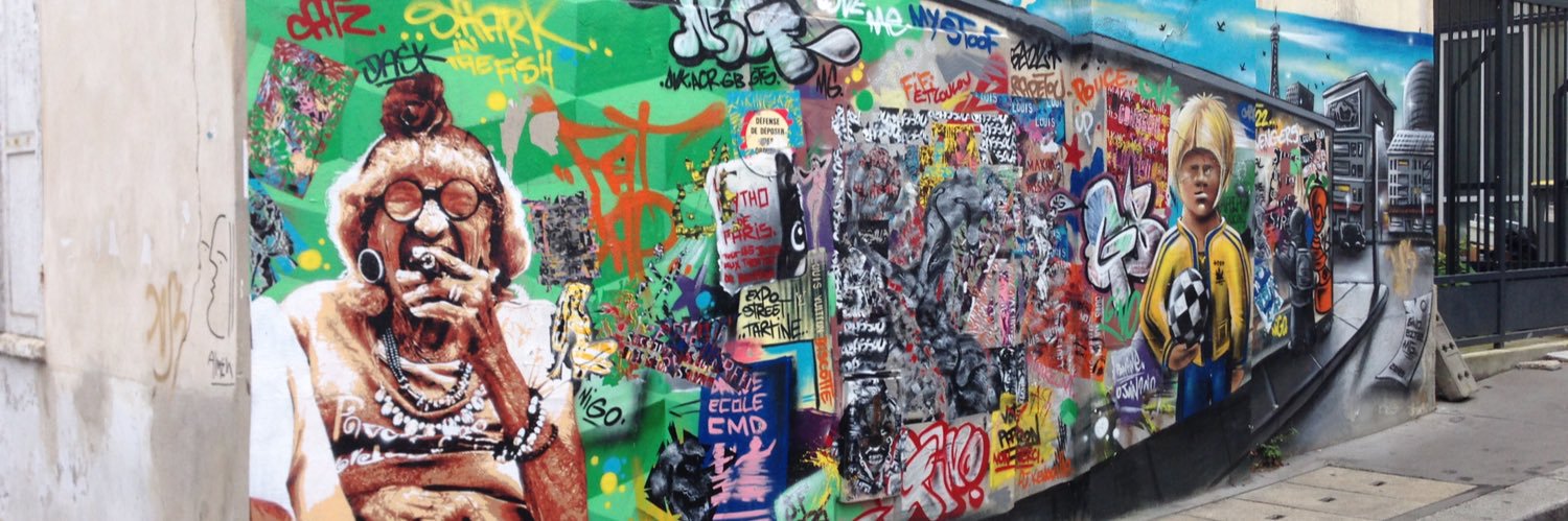 Robert Molinaro 🐢🇵🇸 🔻 banner