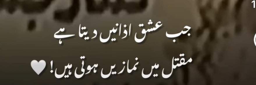 Zahra Bukhari banner