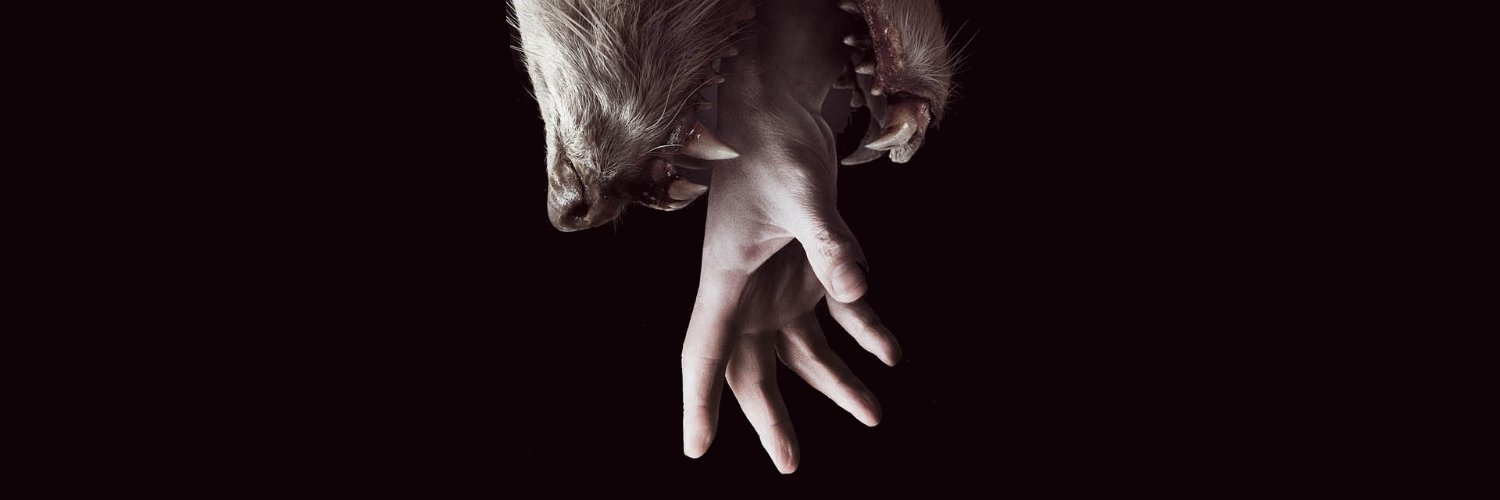 isItReallyLeo's profile banner image