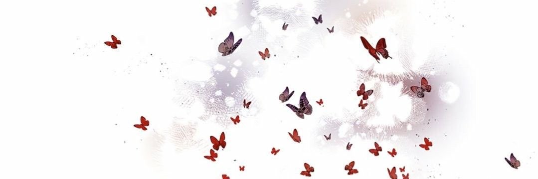 crow/talyn 🪽 banner