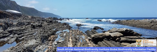sanbigbif Profile Banner