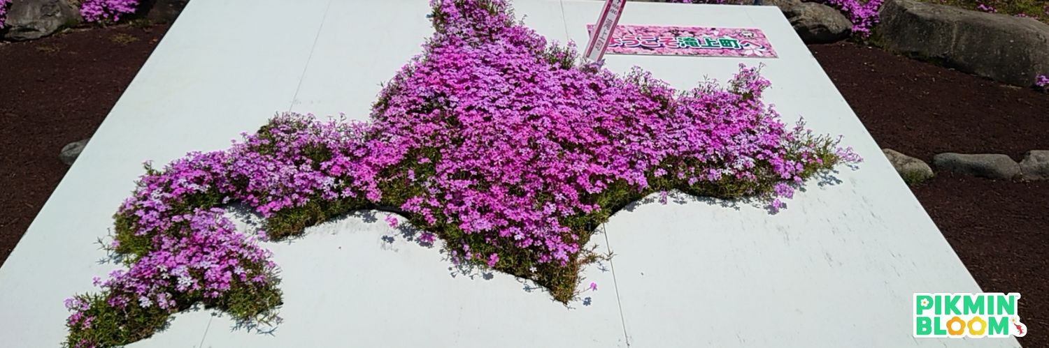 まっち将軍 banner