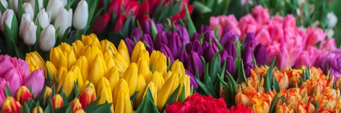 Ольга Йоненко (💙,🧡) banner