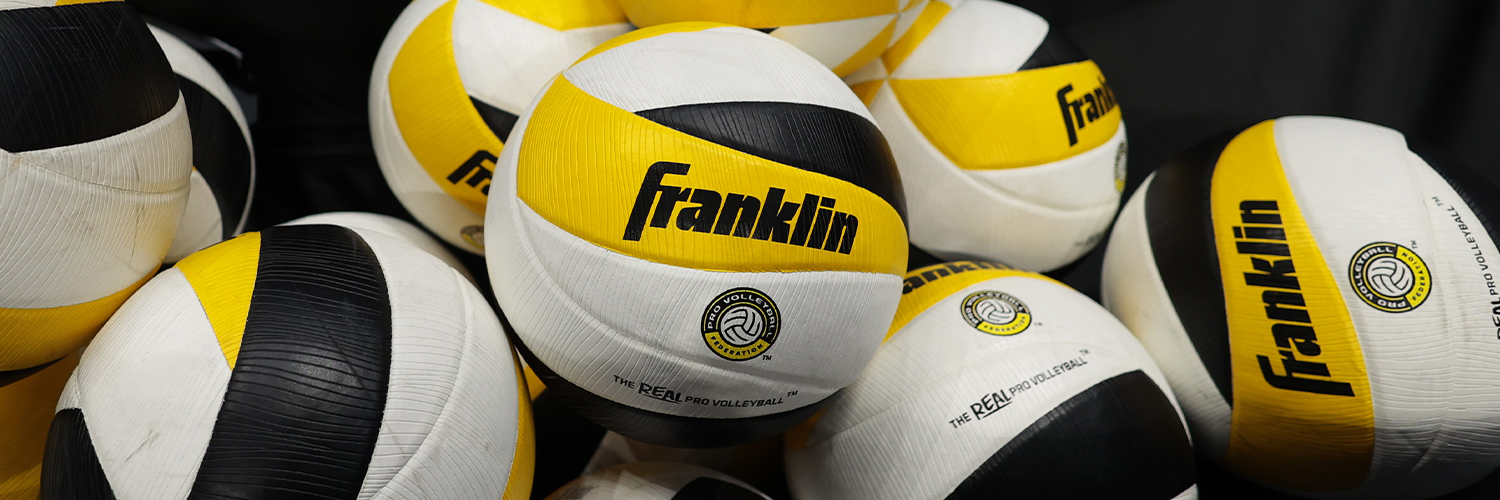 Pro Volleyball Federation's banner