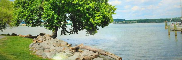 _William_Writes Profile Banner