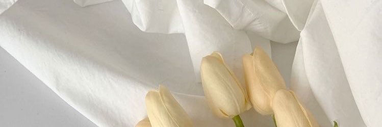 𝘴𝘢𝘵𝘰𝘮𝘪 ⸝⋆ banner