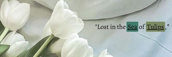 𝓭𝓲𝓷 ✮ banner