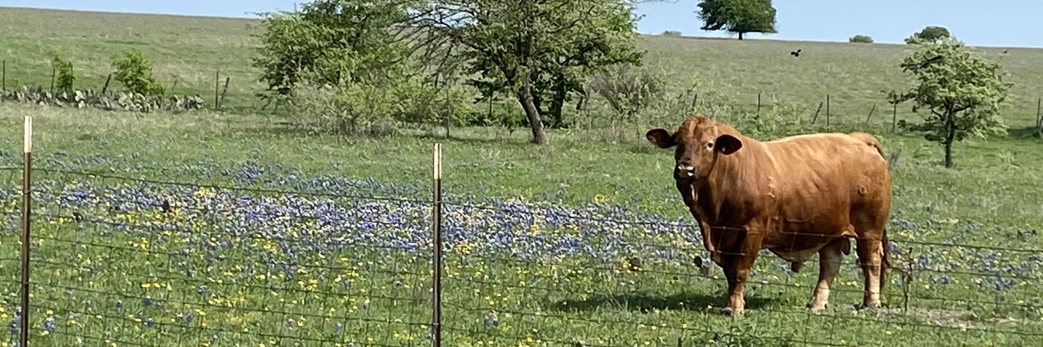 K.D. Rancher✝️👵🏼🐮's banner
