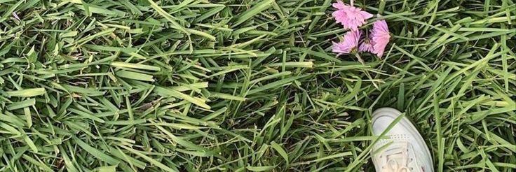ㄹ banner