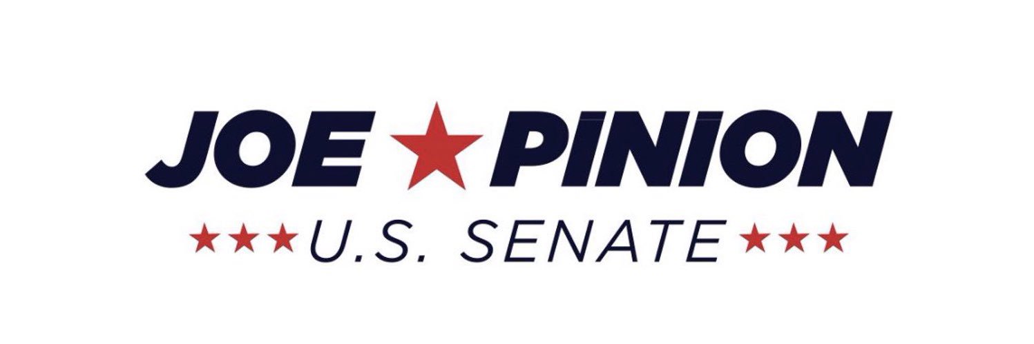 Team Pinion banner