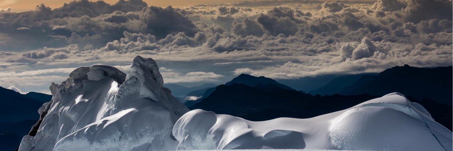 Paola Galarza banner