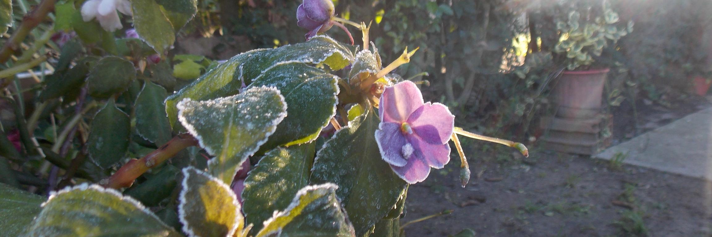 Andrea Antúnez banner