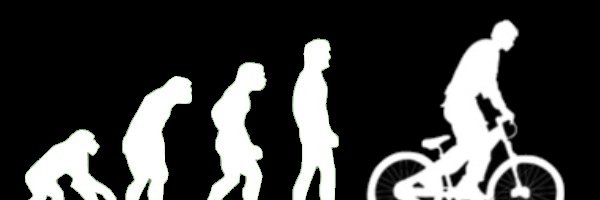 Raymond Lutzewitz banner