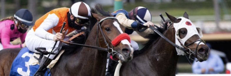 Robert N. Falcone Jr. Racing Stable's banner