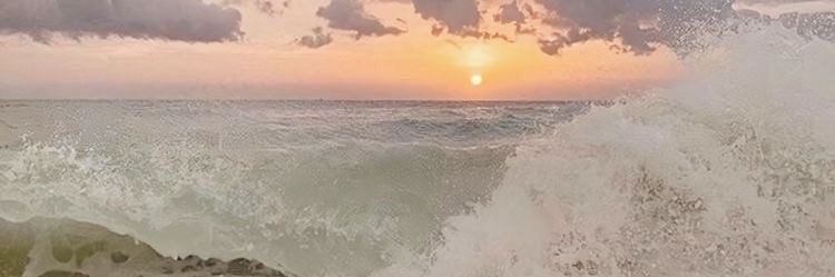 Fioretomasulo's profile banner image
