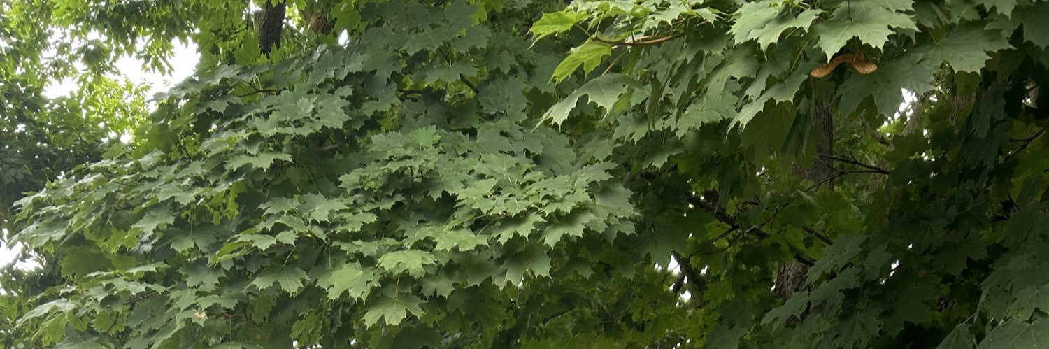JohnWMannion's profile banner image