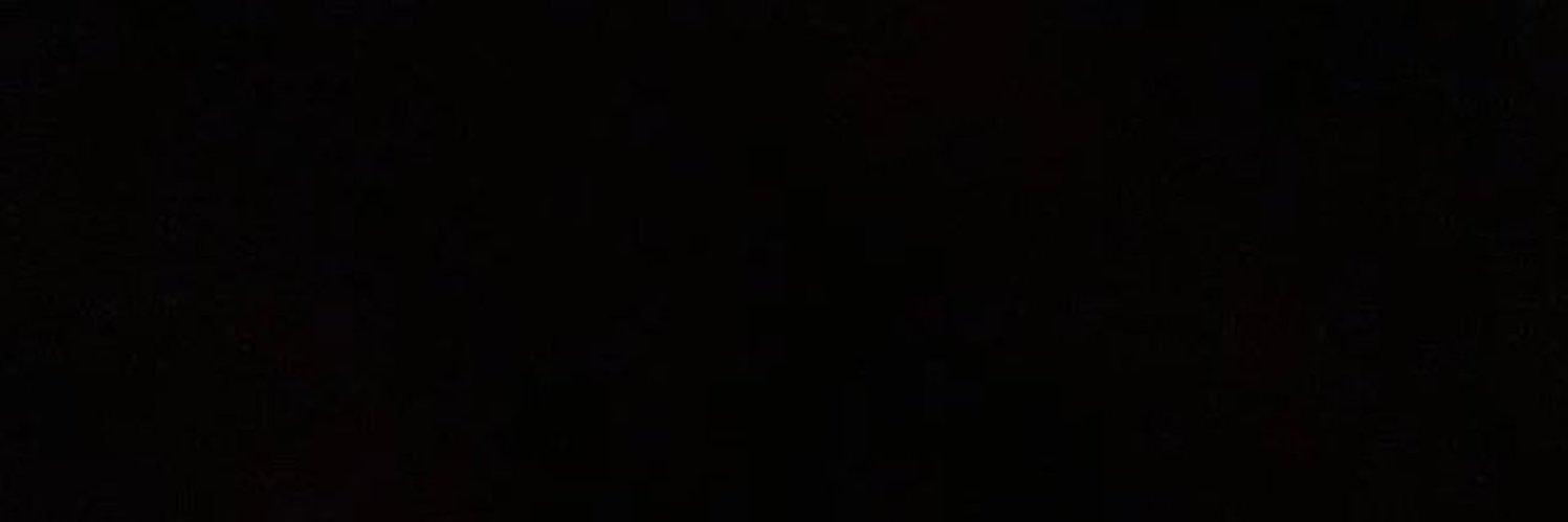 vinicius banner