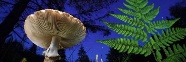 AnneAbuckley's profile banner image