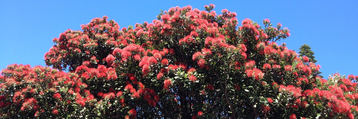 Henare_'s profile banner image