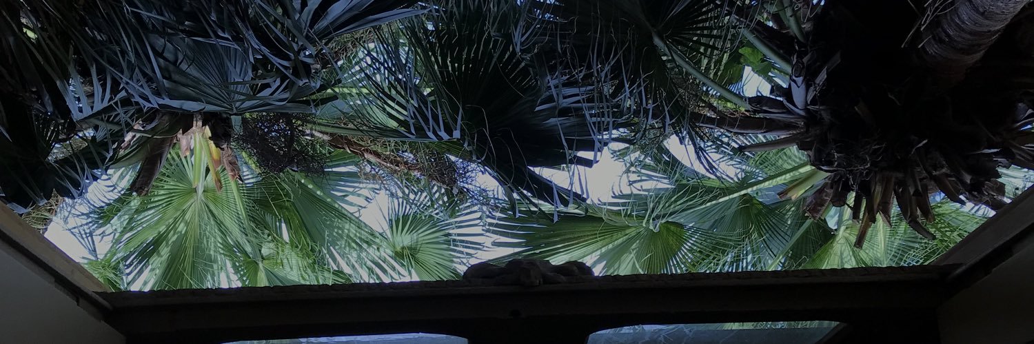 abitlikealice's profile banner image