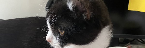 emmaree78598925 Profile Banner