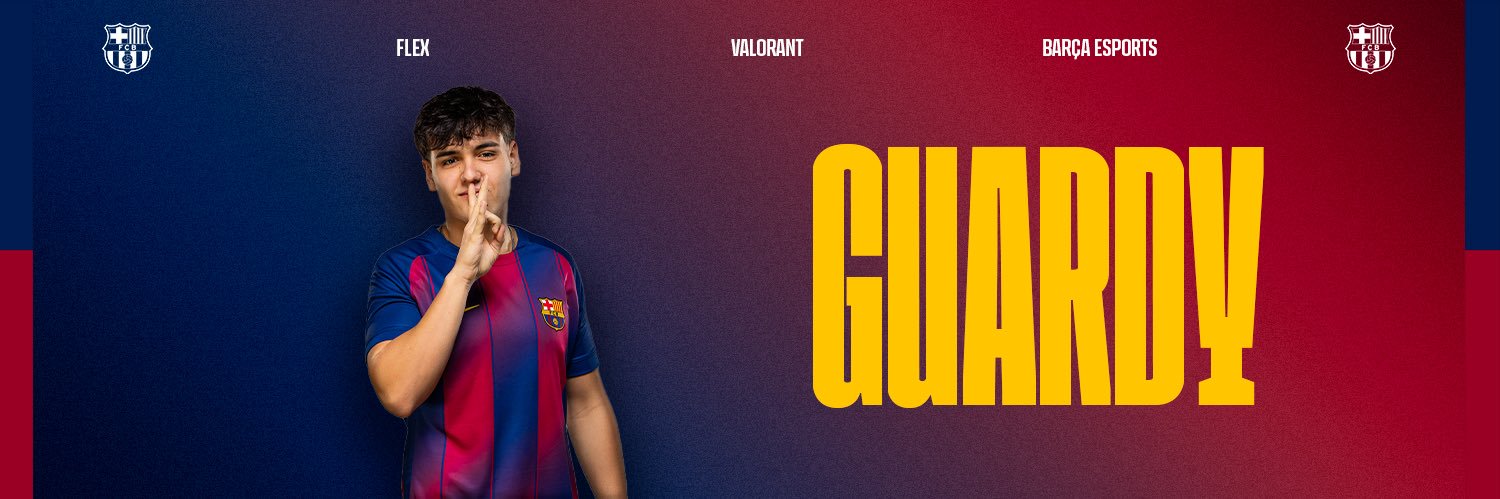 Guardy banner