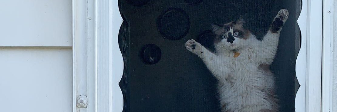 mcampbell_'s profile banner image