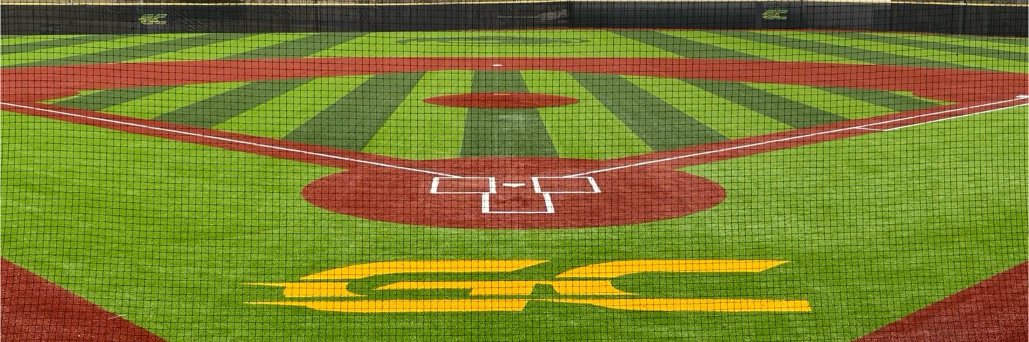Green County Baseball banner