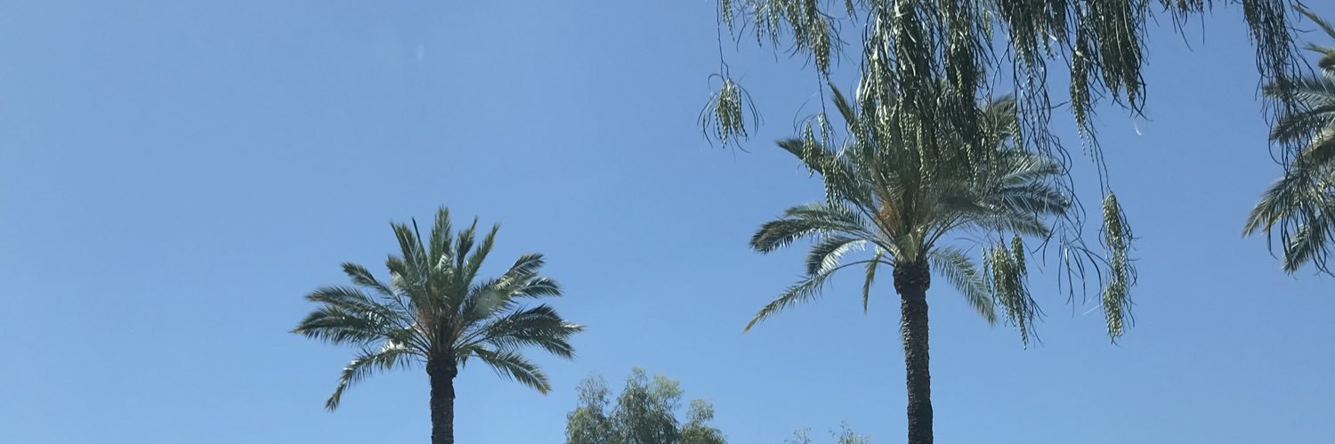 Ed🌵🇺🇸 banner