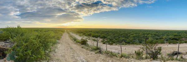 leachfortexas Profile Banner