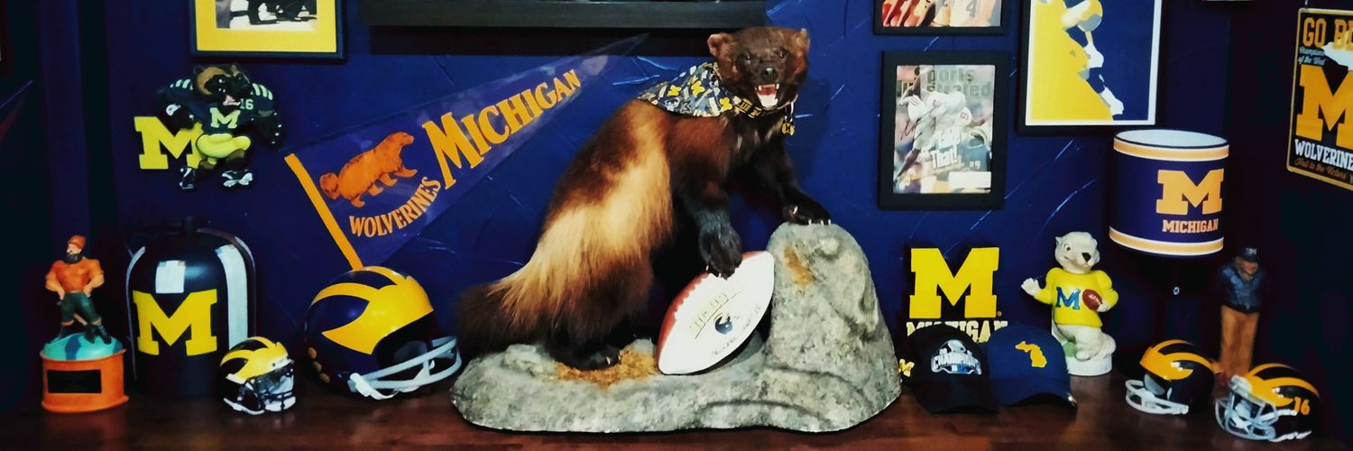 MR. 〽️ICHIGAN banner