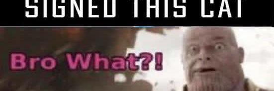 neeb's banner