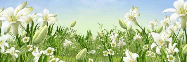 Omalwaleed11's profile banner image
