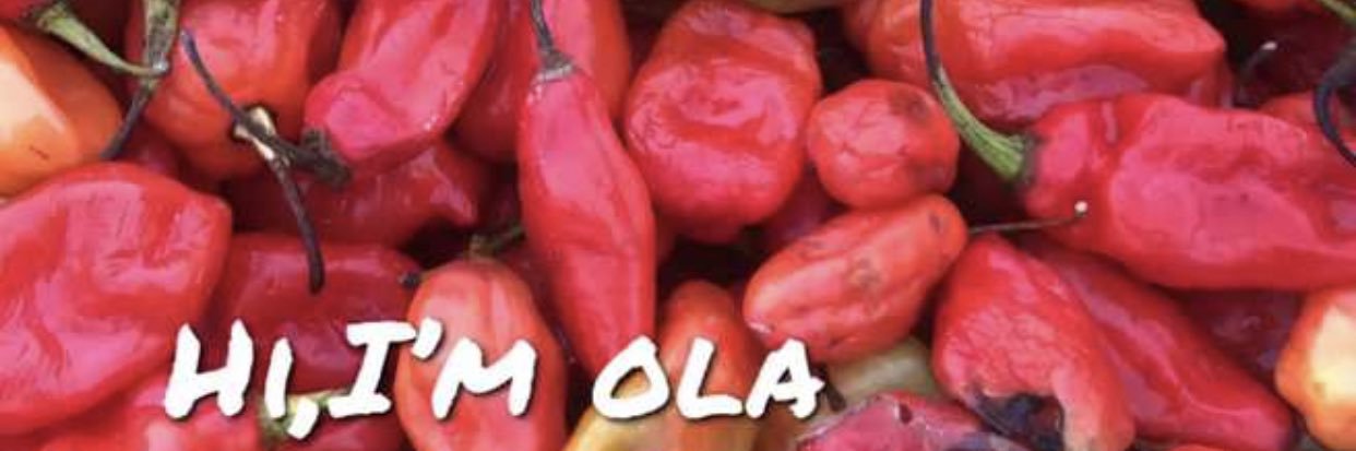 Zinga!!! banner