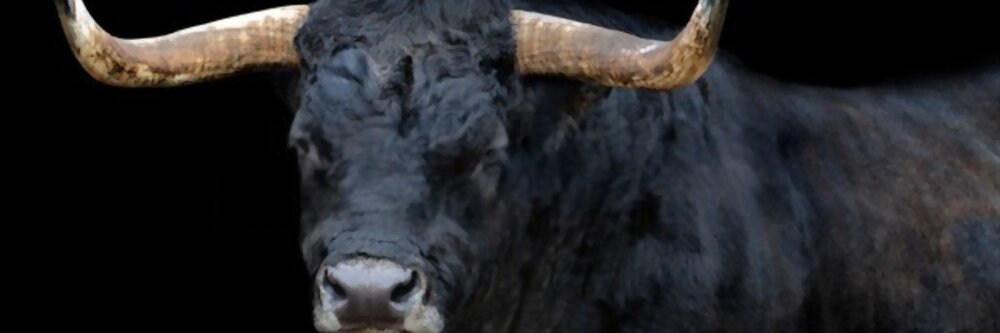 BeefZoneTV's profile banner image