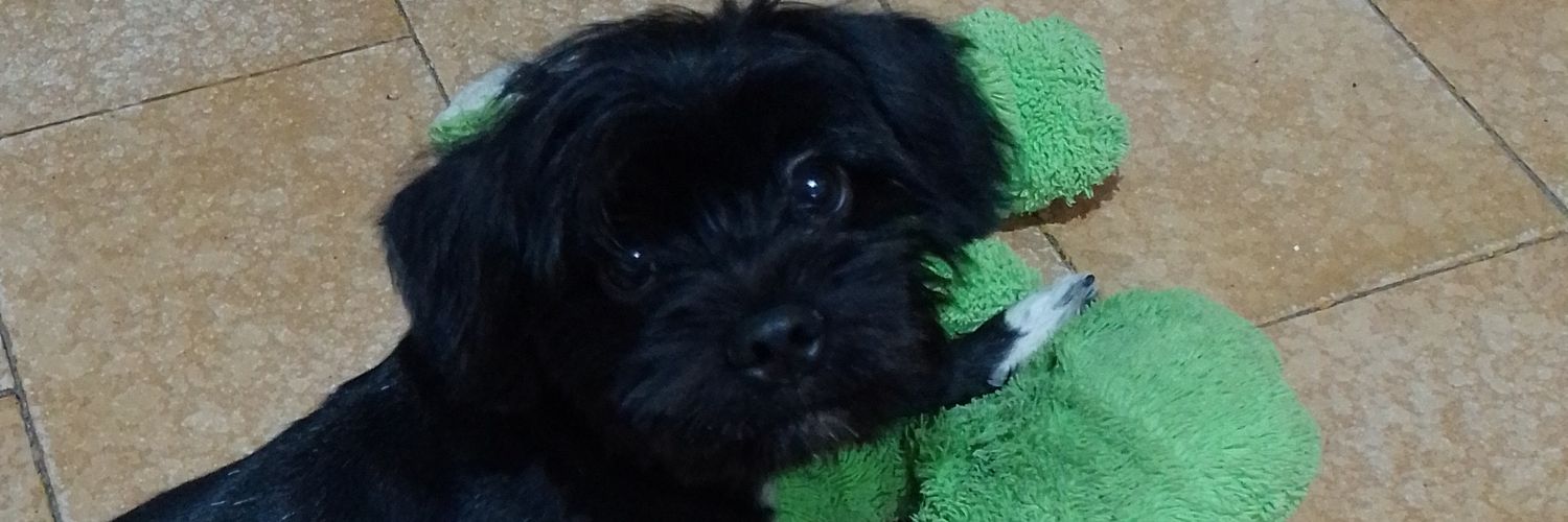 GenildeSantos2's profile banner image