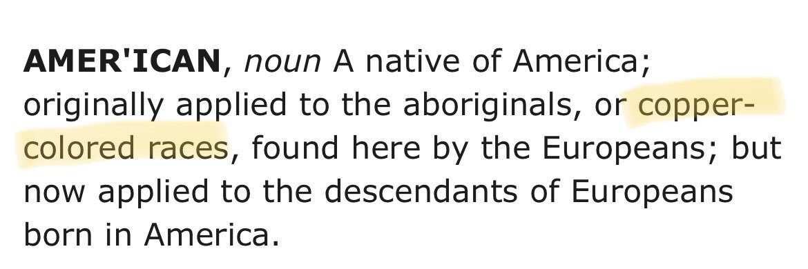 Black Indigenous American banner