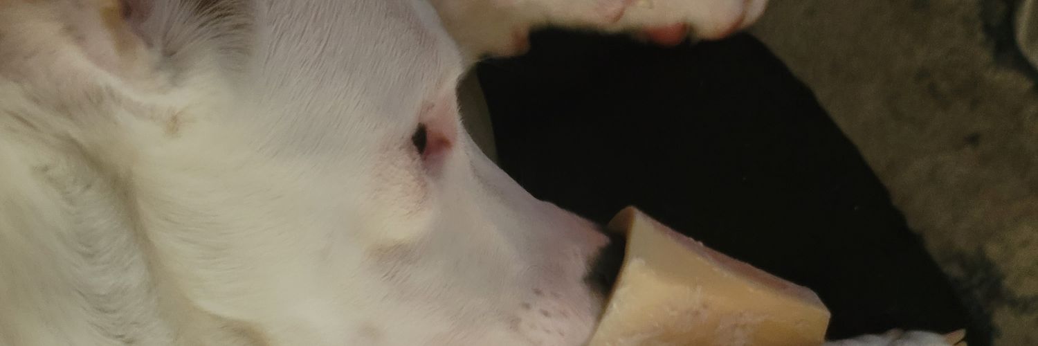 Craig banner