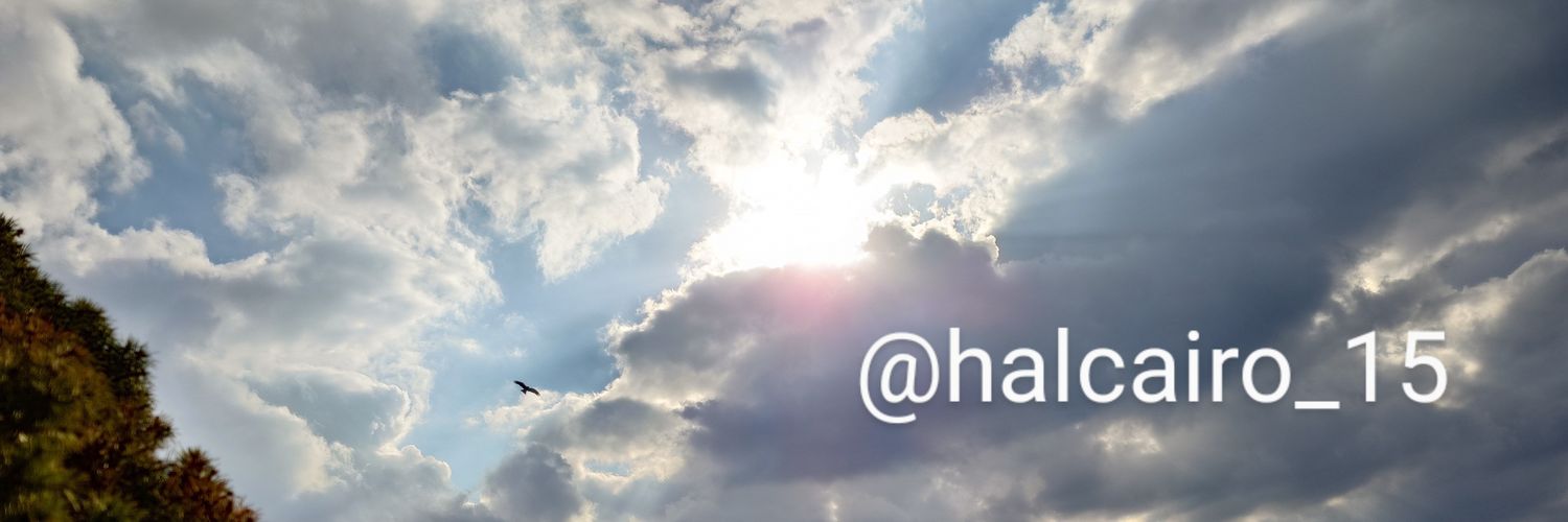 halcairo_15's profile banner image