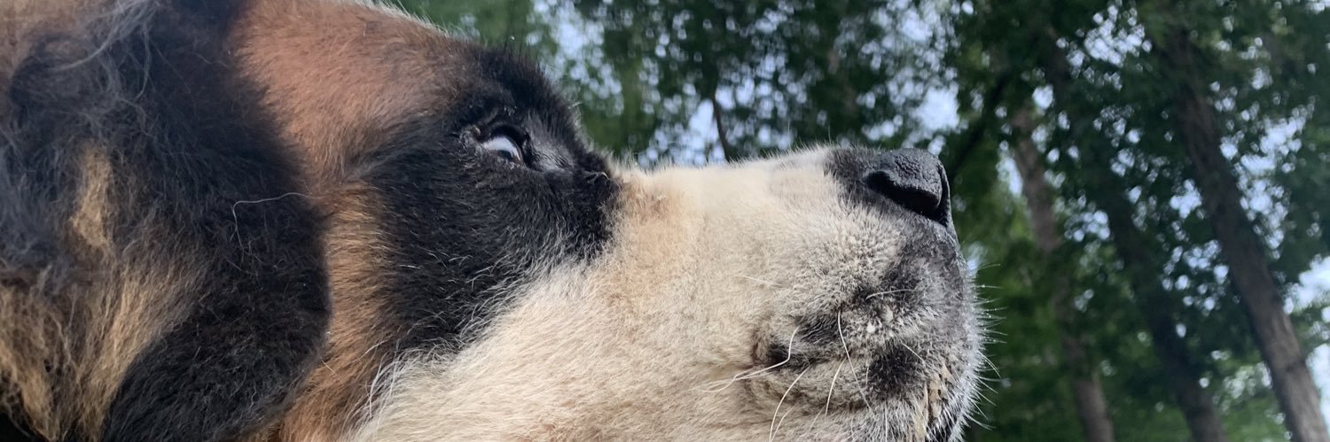 ty_coop97's profile banner image