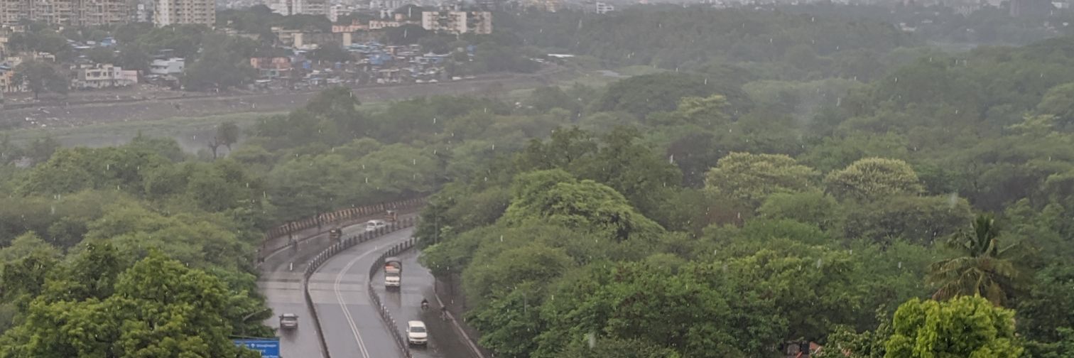 Vedang (fosstodon.org/@vedang) banner