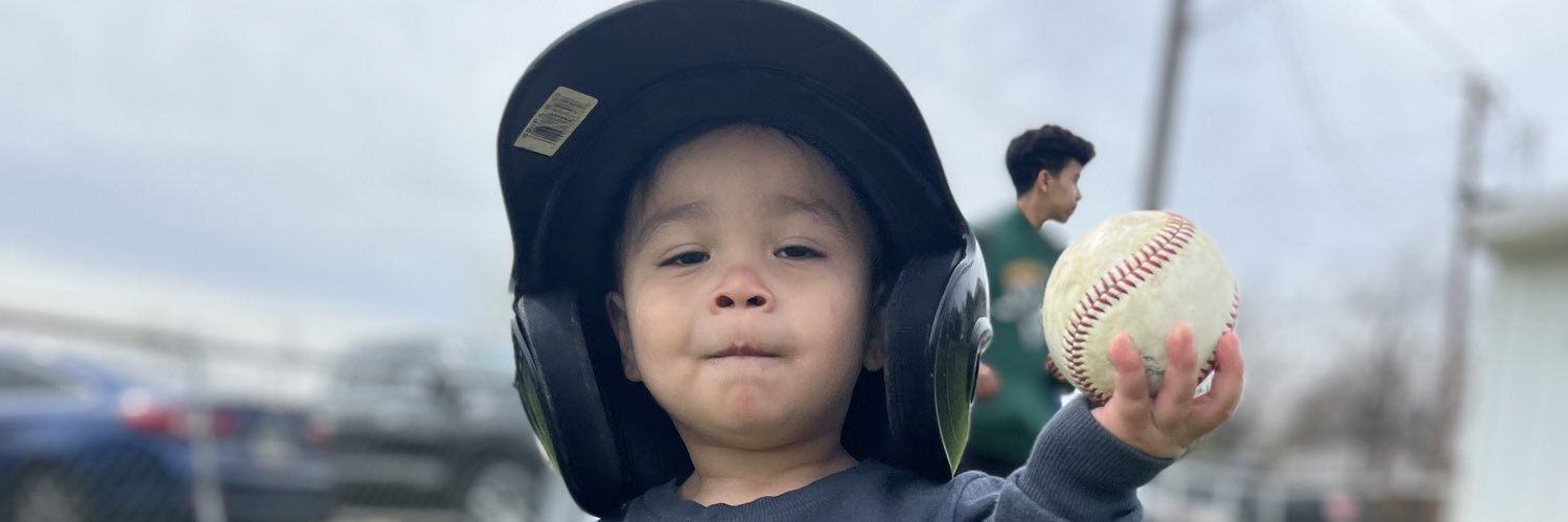 Navarro Development banner